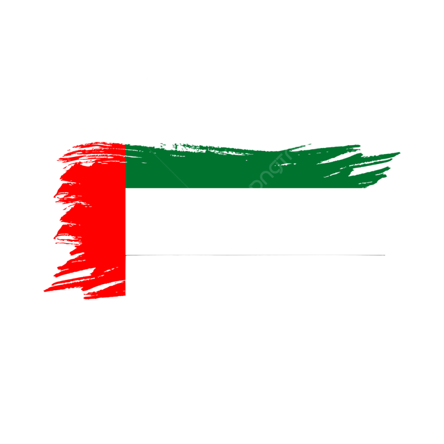 the uae flag