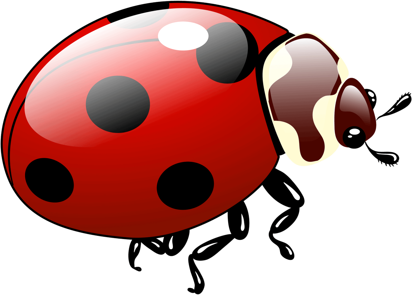 ladybug clipart - lady bug clip art
