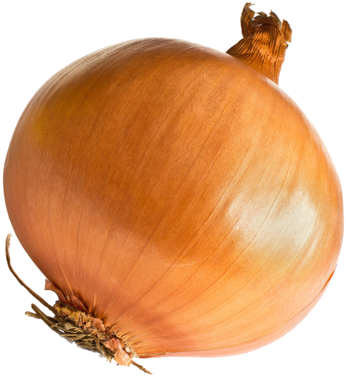 a close up of an onion on a white background