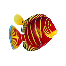 a red and yellow fish