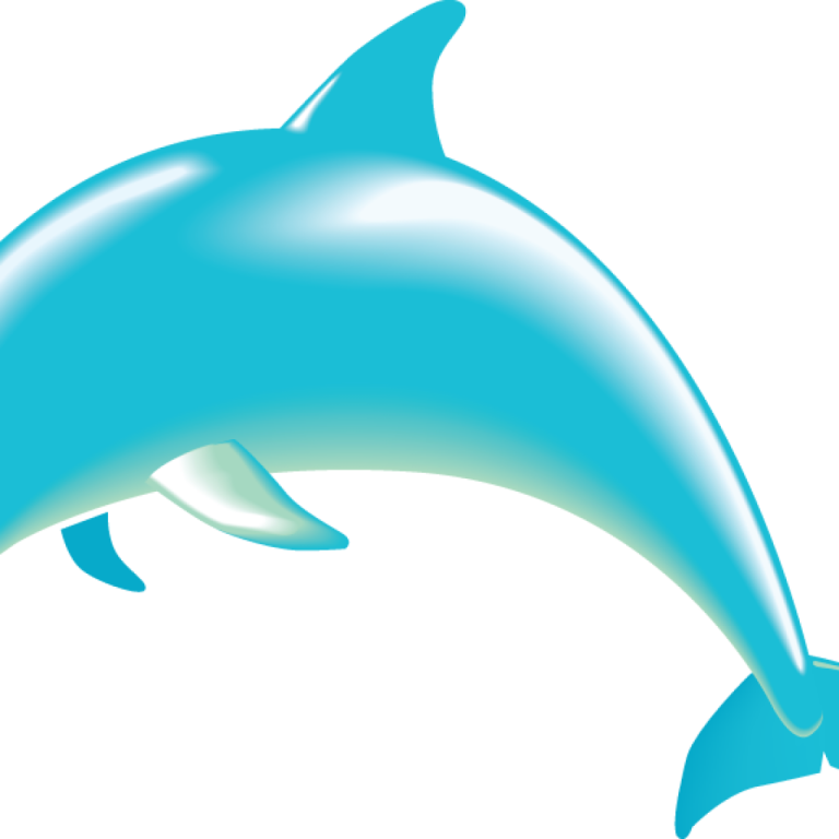 a dolphin jumping out of the water