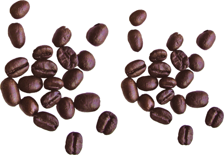 coffee beans on a white background