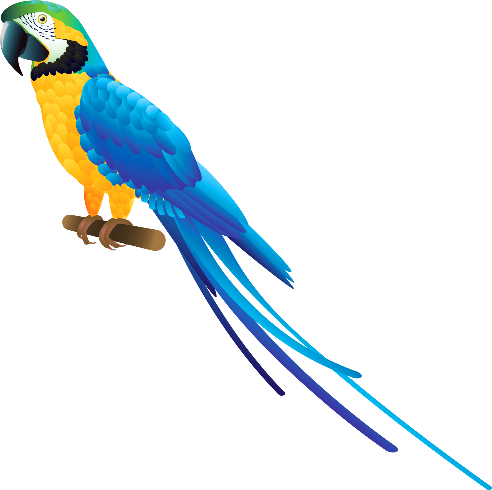 a blue and yellow parrot perched on a branch