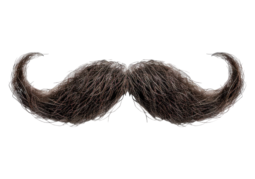 a pair of mustaches on a white background