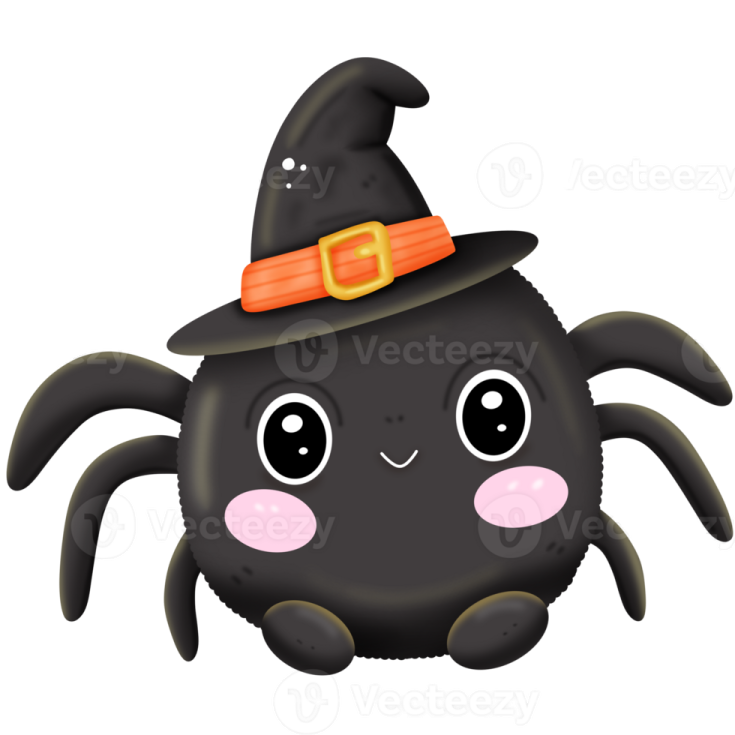 a black spider with a witch hat on its head
