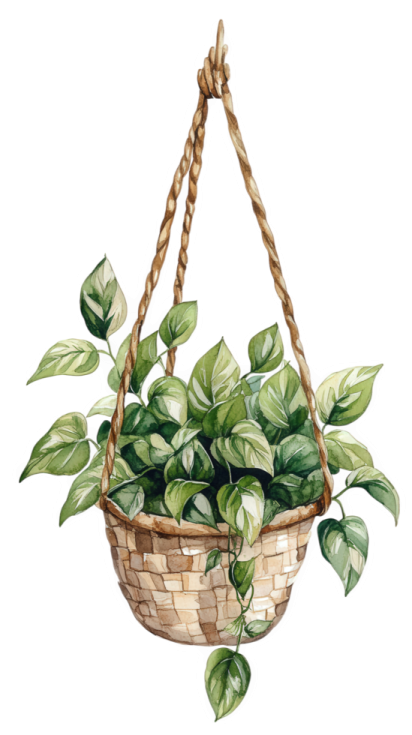 a watercolor painting of a plant in a basket