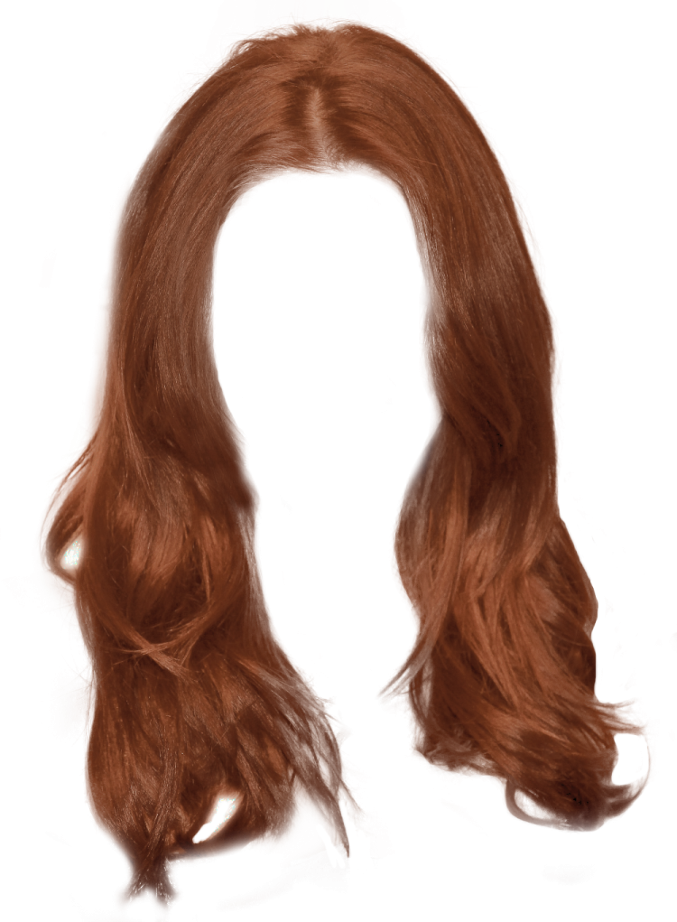 a brown wig with long hair