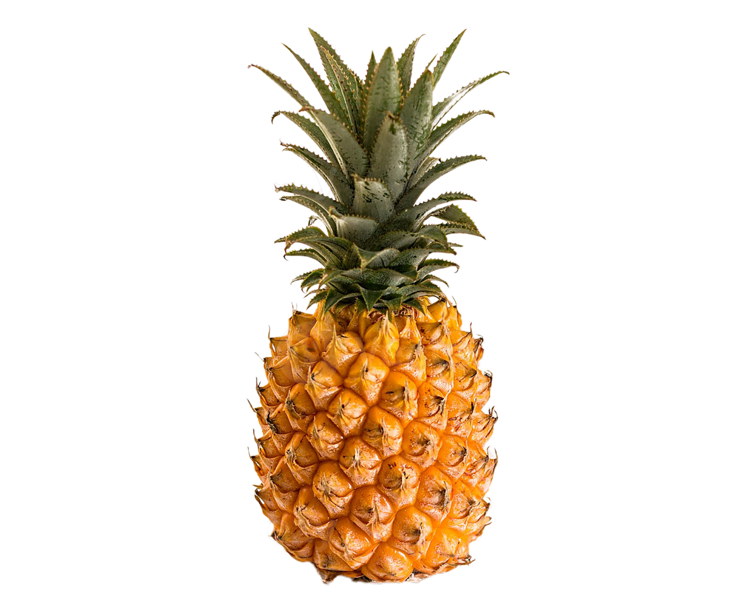 a pineapple on a white background