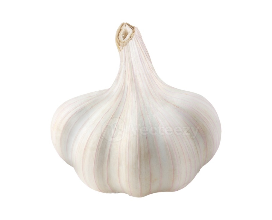 a garlic bulb on a white background