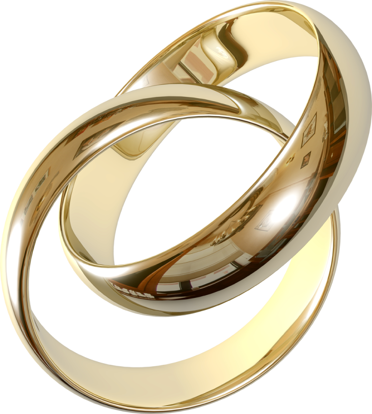 two wedding rings on a white background