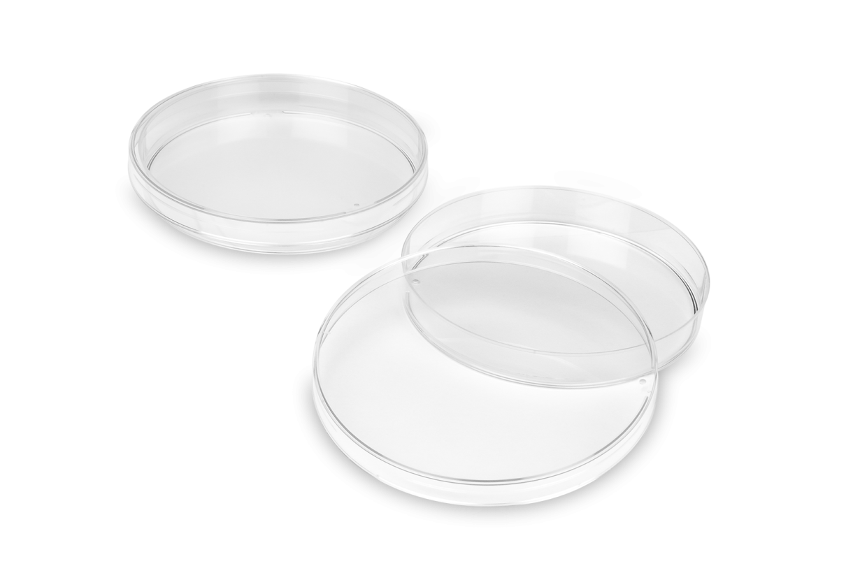 a pair of clear glasses on a white background