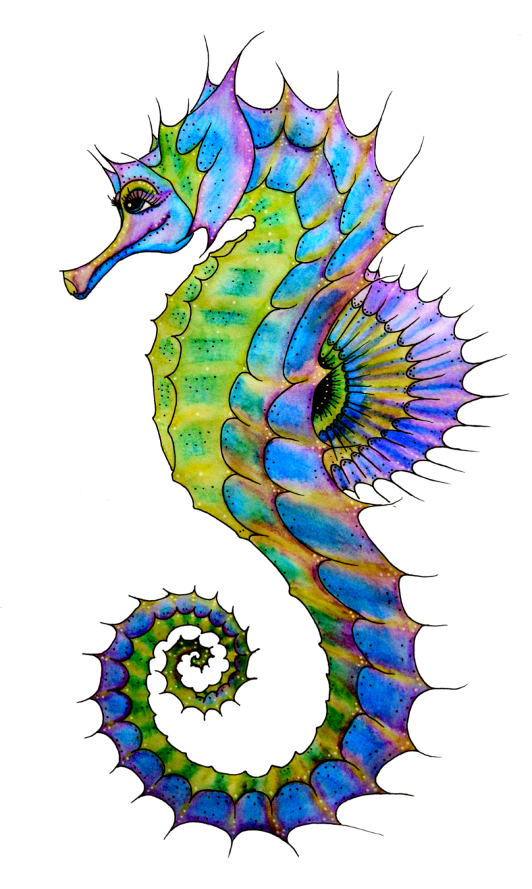 a watercolor drawing of a seahorse
