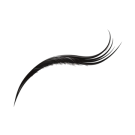 a black feather on a white background