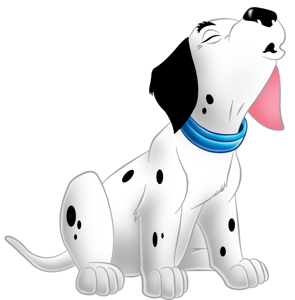 a black and white dog with a blue collar