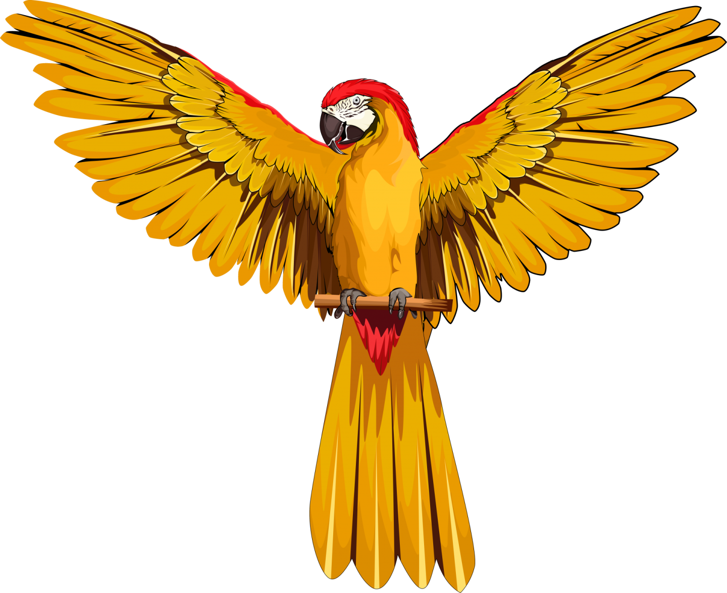a yellow and red parrot with its wings spread