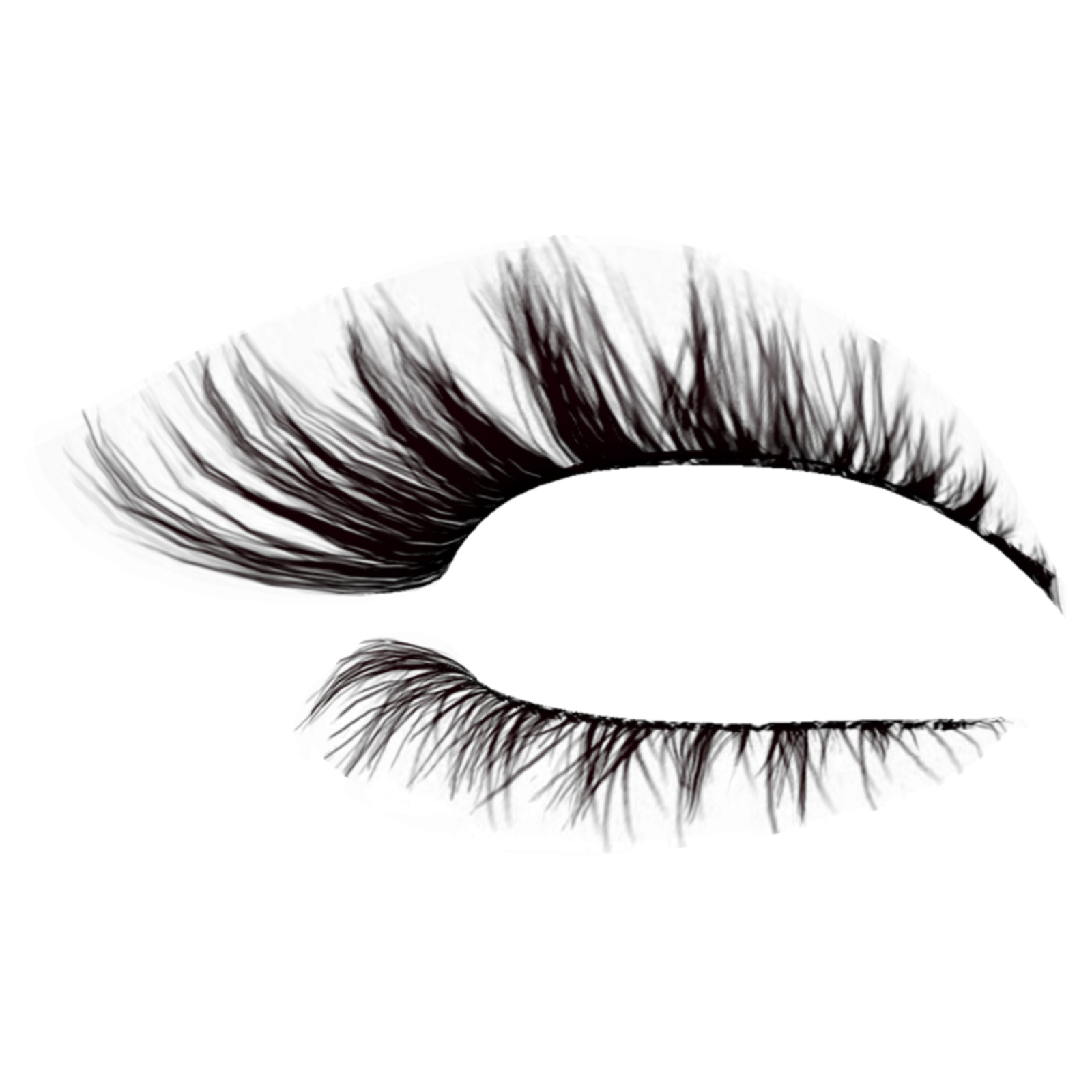 a close up of an eye with long lashes