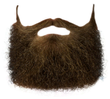 a close up of a beard on a white background