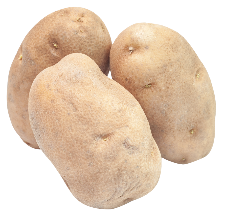 three pears on a white background