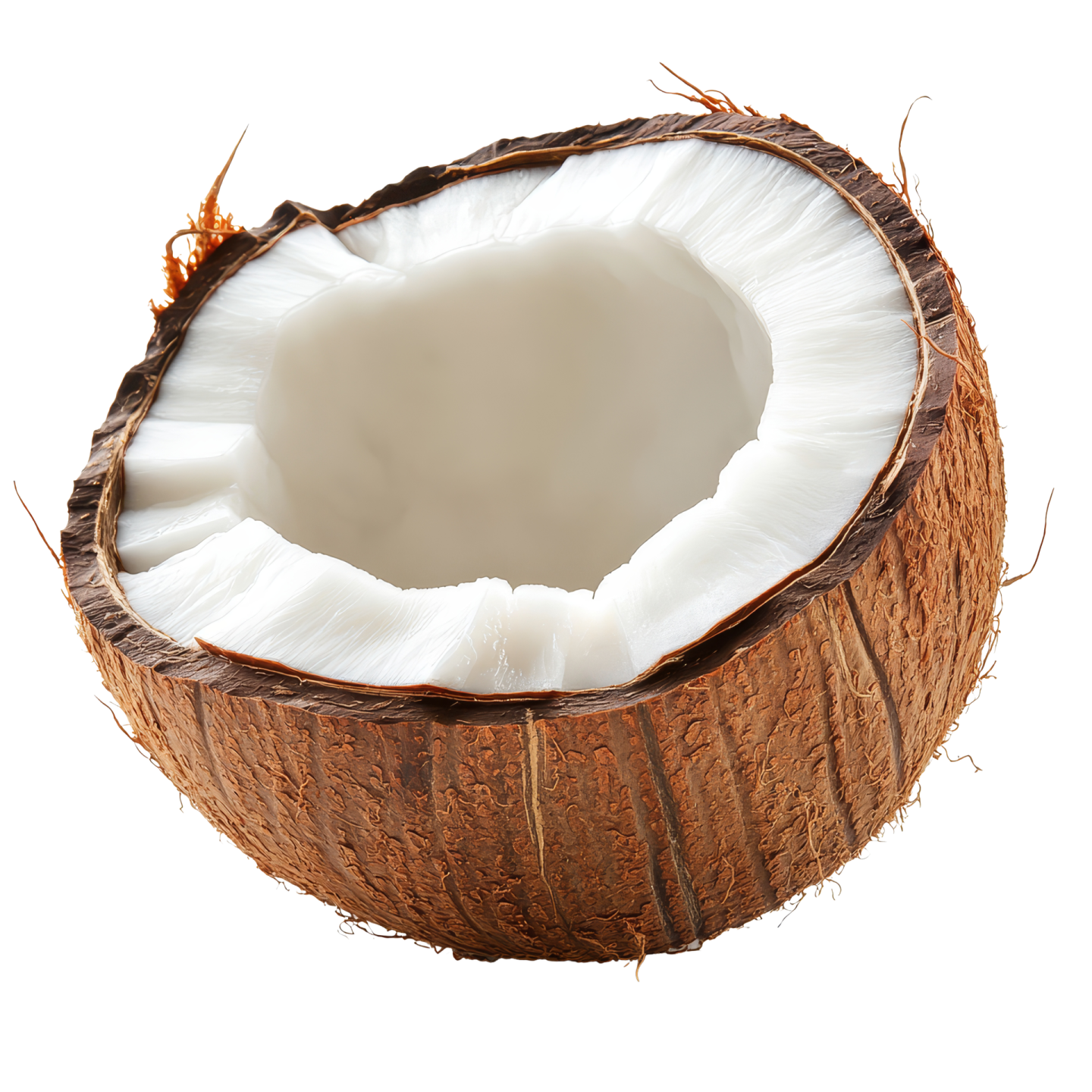 a half of a coconut on a white background