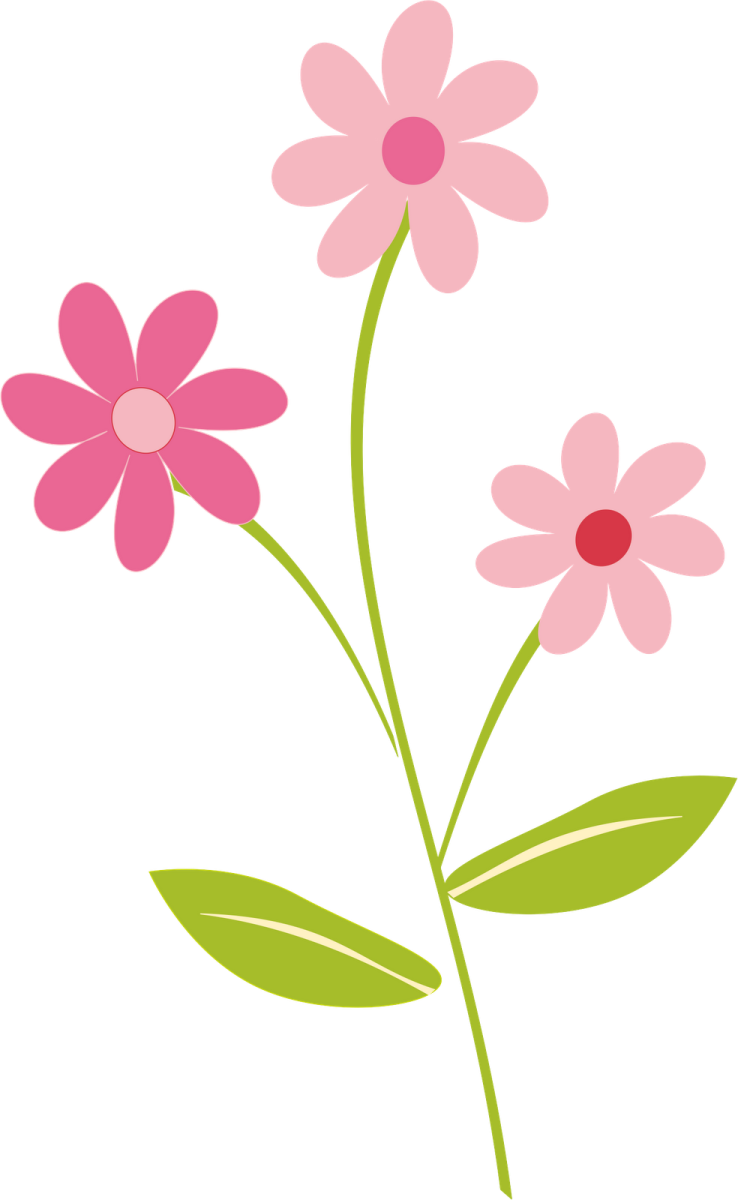 a pink flower on a white background