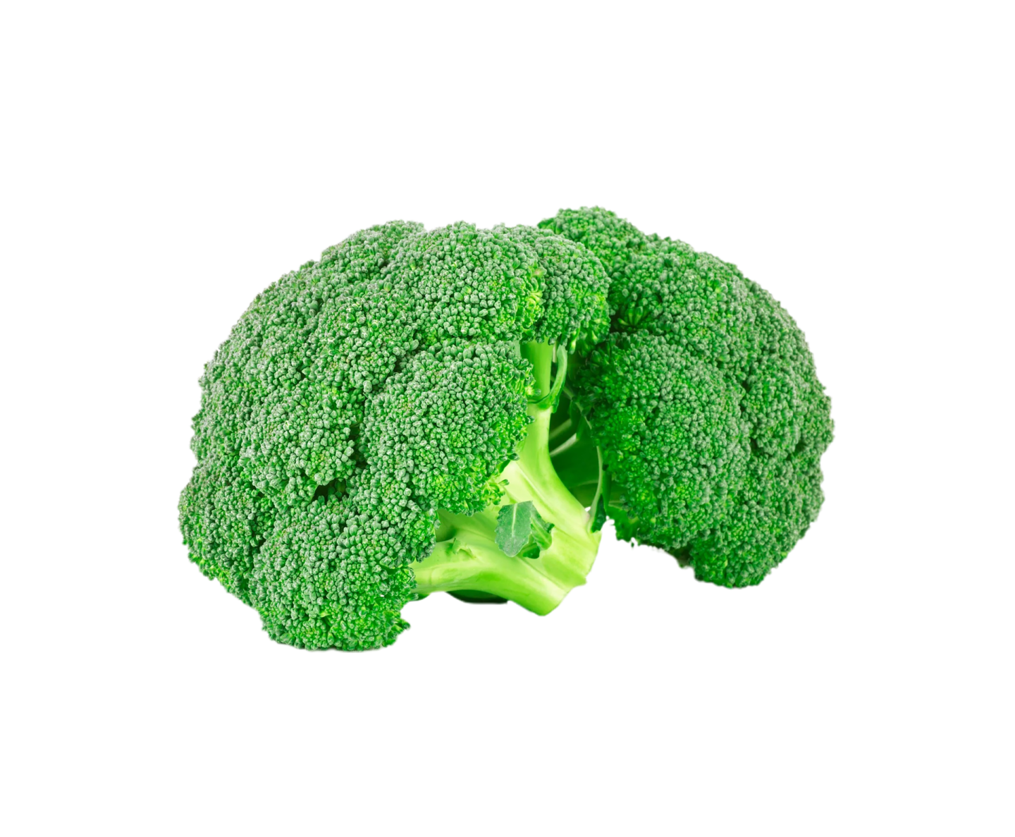 a close up of a piece of broccole