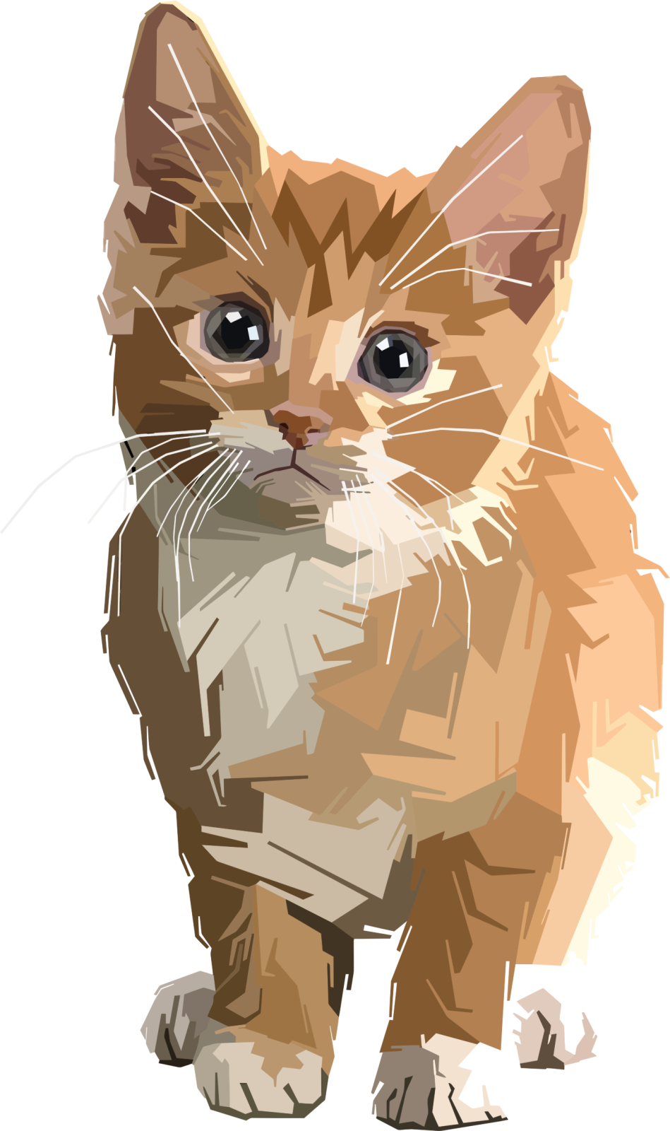 a drawing of a cat on a white background