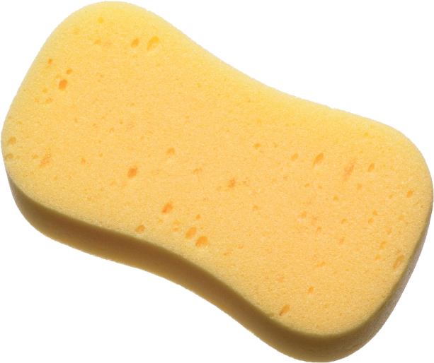 a sponge on a white background