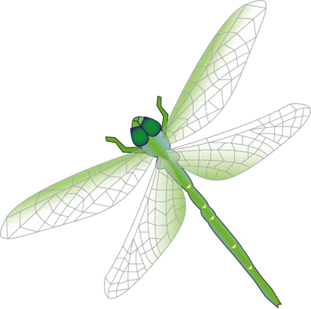 a green dragon on a white background