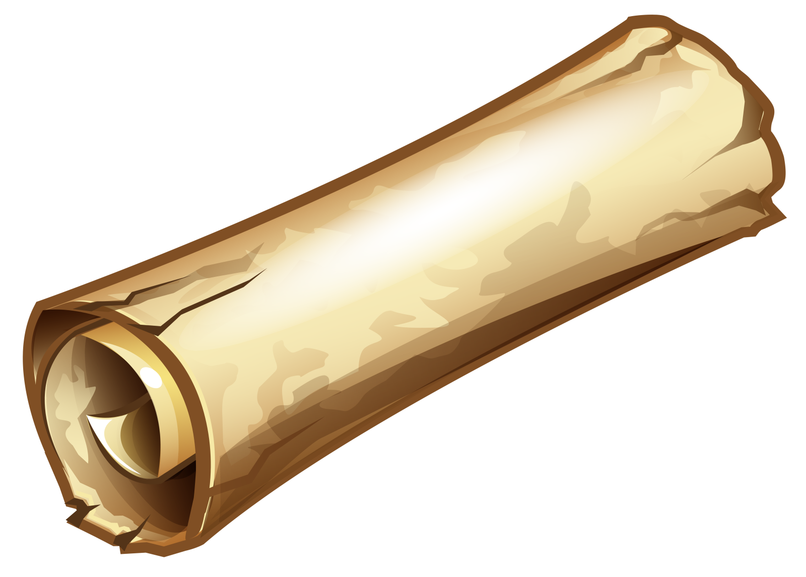 a roll of bread on a white background