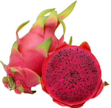 dragon fruit on a white background
