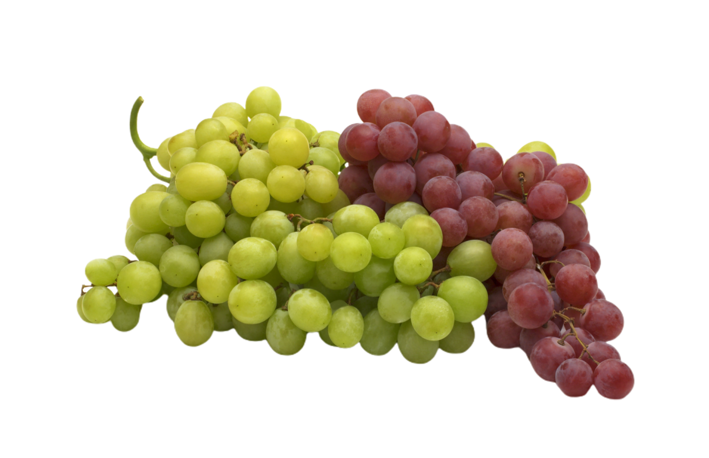 a bunch of grapes on a white background