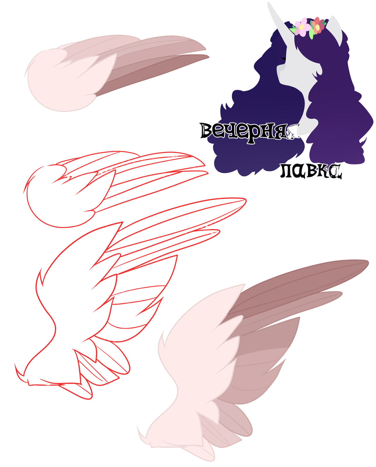 a drawing of two different types of wings