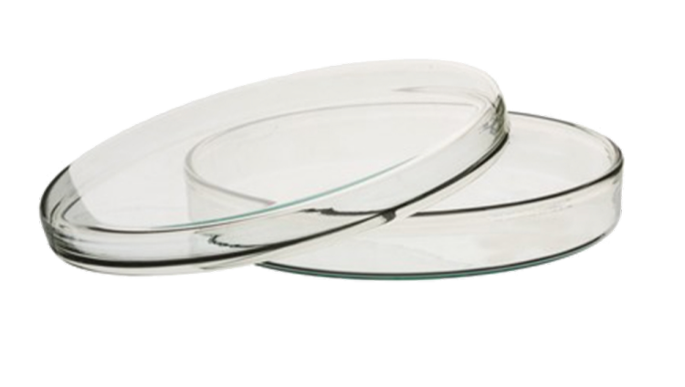 a pair of clear glass plates
