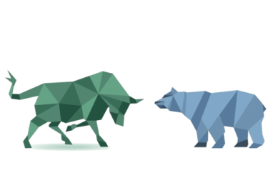 a bear and an elephant are standing side by side