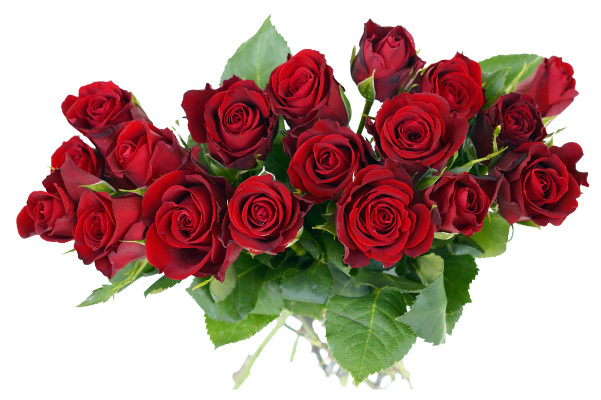 a bunch of red roses in a vase