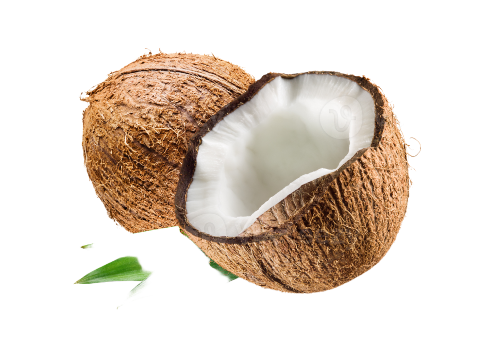 a coconut with a green leaf on it