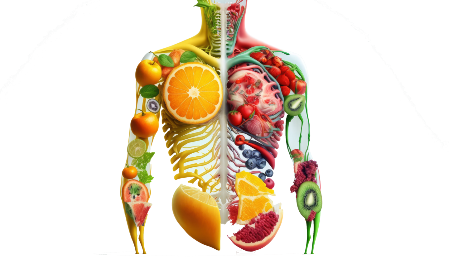 a diagram of the human body and organs