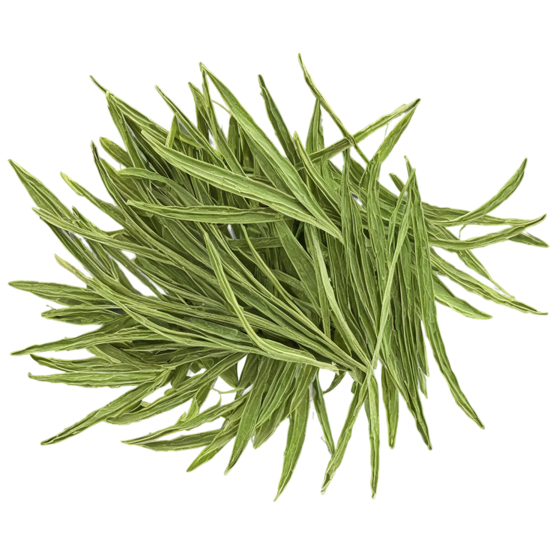 a bunch of green tea leaves