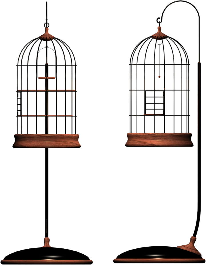 a bird cage on a stand with two birds inside