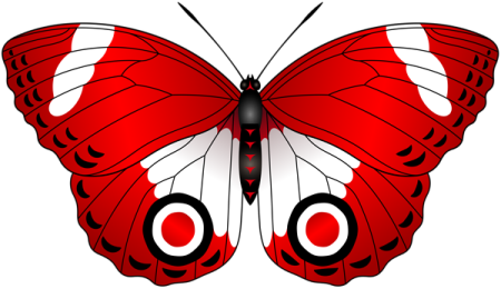 a red butterfly with white and black wings