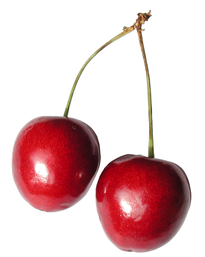 two chers on a white background