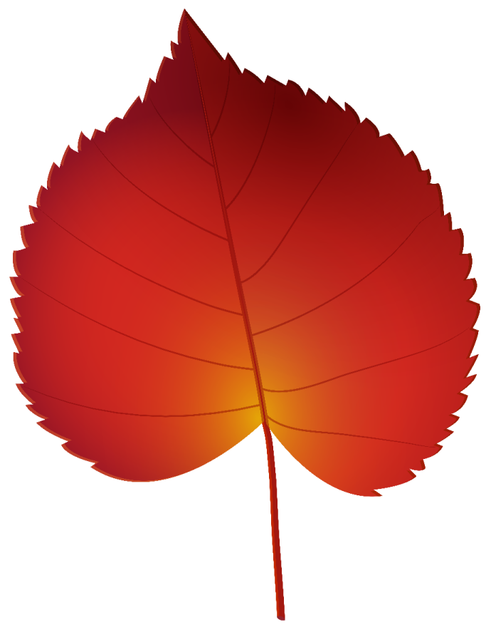 a red leaf on white background