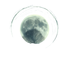 an image of a tree with the moon behind it