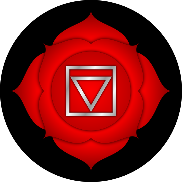 a red rose with the letter v on it