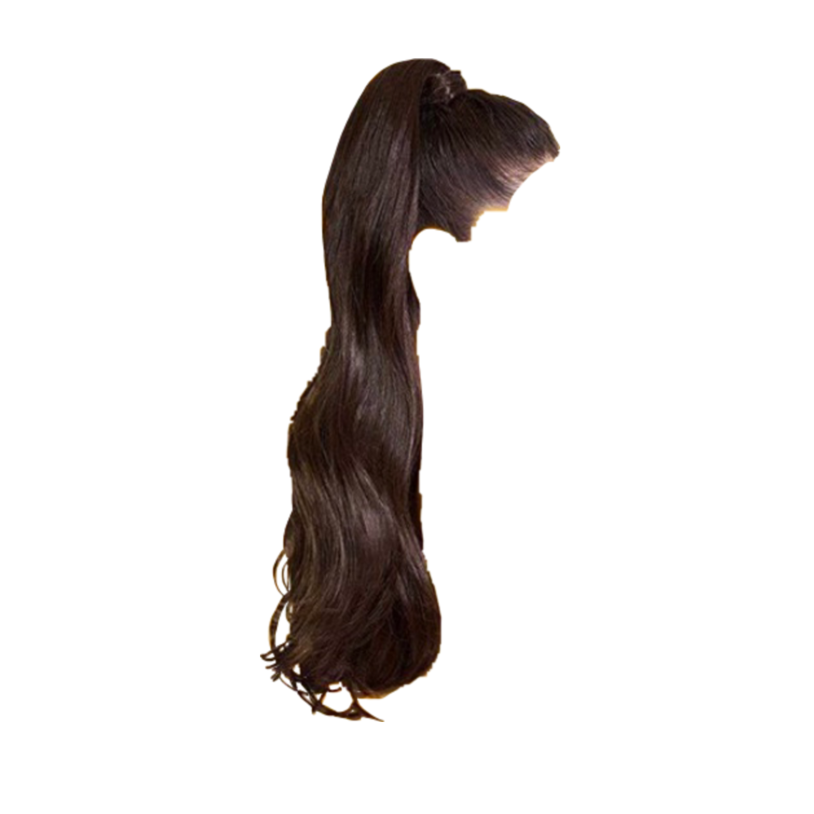 a long ponytail on a white background