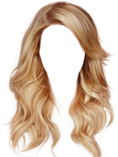 a woman with long blonde hair on her head