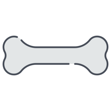 A bone on a white background