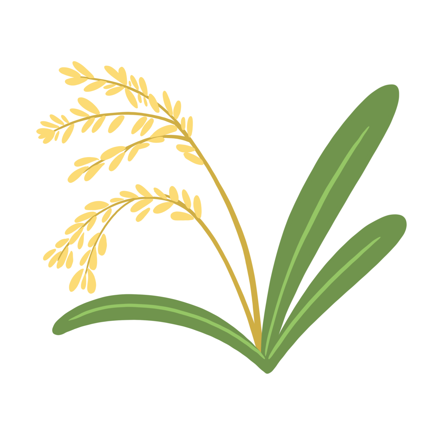 an illustration of a plant with green leaves