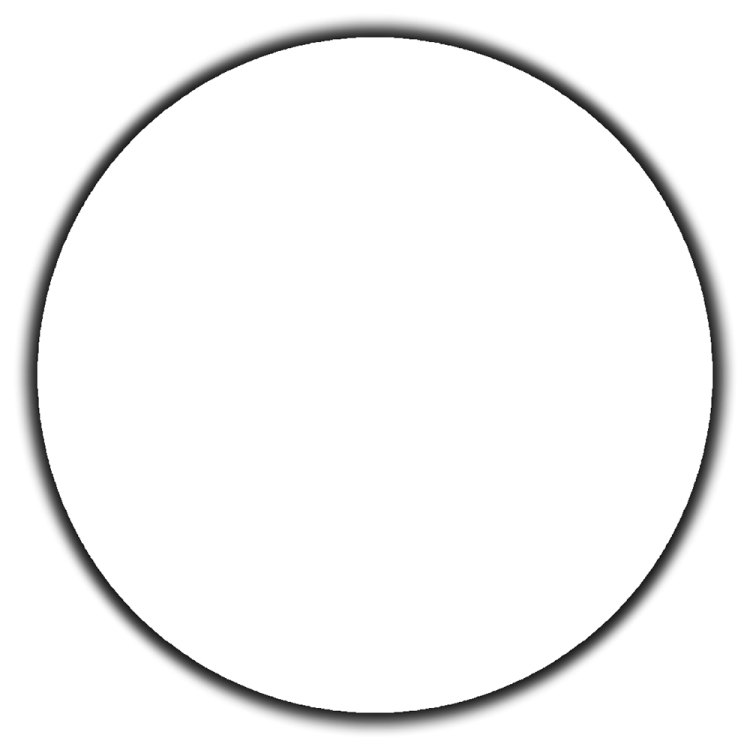 a black and white circle on a white background