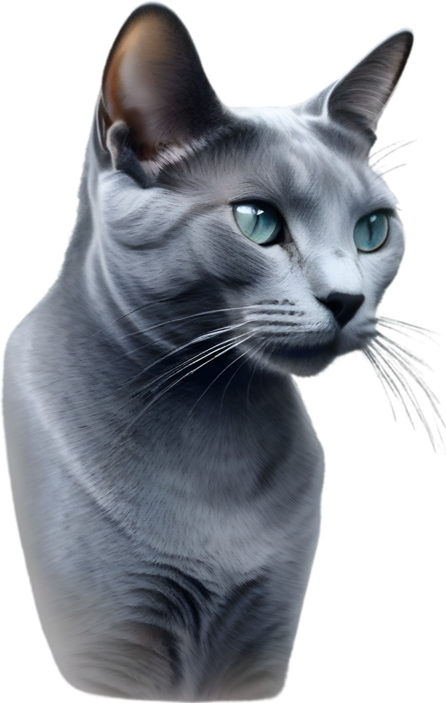 a gray cat with green eyes looking at the camera